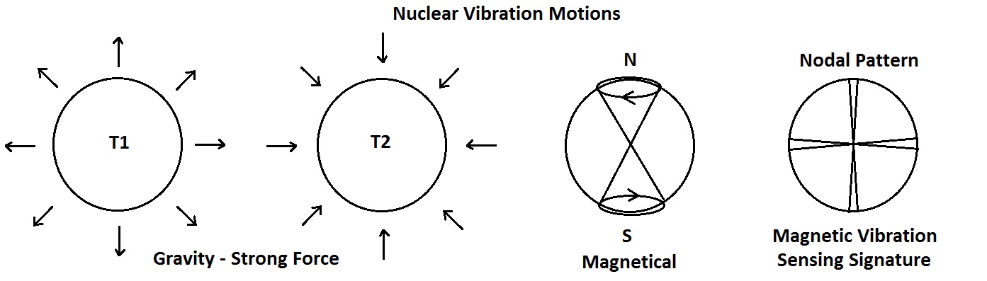 Nuclear Motions Drawing